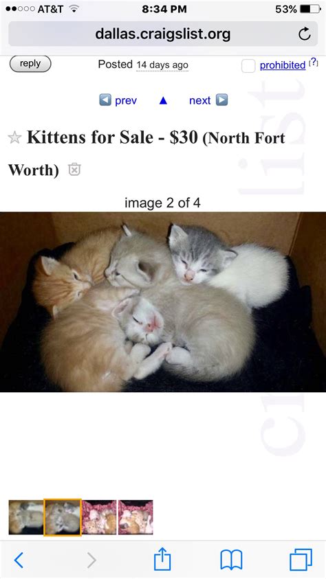 craigslist dallas fort worth|craigslist dallas fort worth puppies for sale.